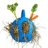 Horsemen's Pride Jolly Hay Ball Stall Toy for Horses, Blue