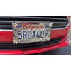 Cruiser Accessories 19130 Daisy License Plate Frame, Chrome/Painted