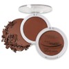 AQUAPURITY PHOERA Sheer Matte Compact Powder Fixing Powder Makeup Base