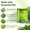 Outdoor Citronella Candles - Essential Oil Soy Wax for Patio