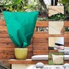 Tkxjry Pack of 2 Winter Plant Covers, 80 x 120