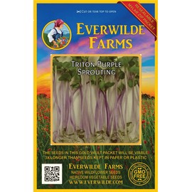 Everwilde Farms - 1 Oz Triton Purple Sprouting Radish Seeds - Gold Vault