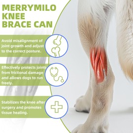 Dog Hip Brace, Knee & Leg Support Brace for ACL Recovery, Ligament Injury - Breathable & Adjustable Dog Leg Brace for Senior Dogs, Post-Surgery Rehabilitation & Mobility Aid(Size M)