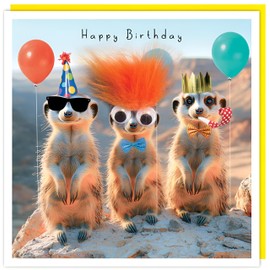 Tracks Publishing Funny Birthday Card - Happy Birthday Card with Humorous Meerkats Design with Googly Eyes and Fluff Embellishment- for Men/Women/Children