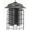 Audubon Dragonfly Squirrel Proof Tube Bird Feeder