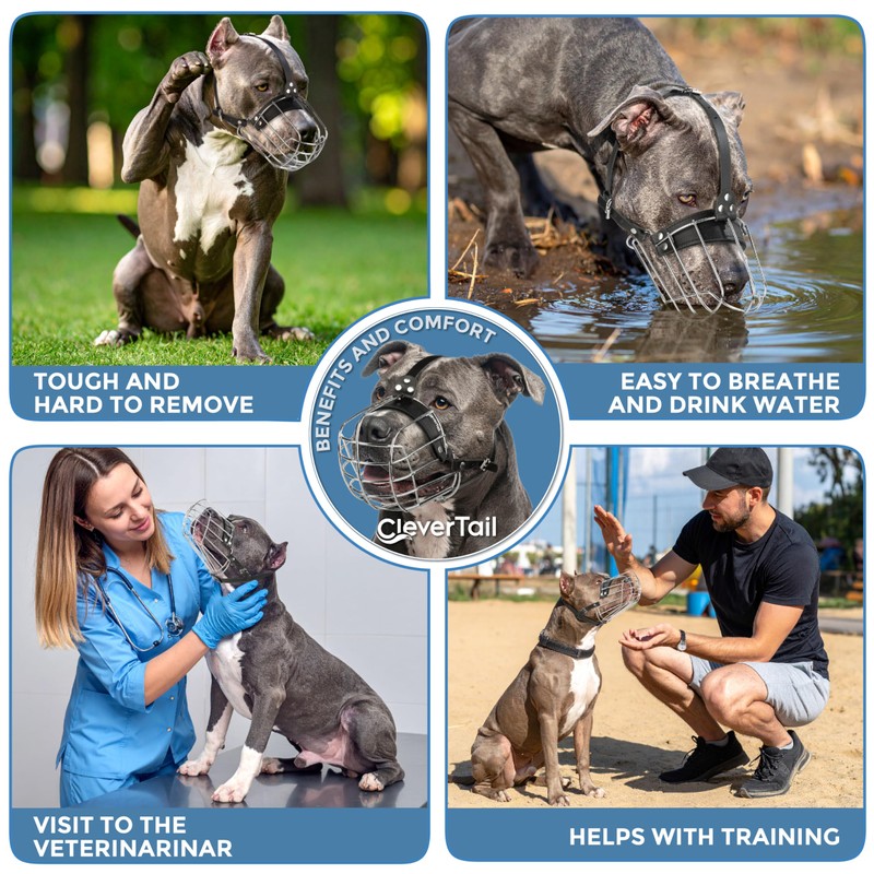 CleverTail Metal Pitbull Muzzle for Large Sized Dog – Basket