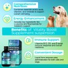 Welsdom Pets Vitality Boost Supplement Suspension - 60mL | Enhances