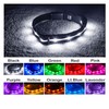 Blazin Brightest Light Up Dog Collars - The Original LED
