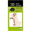Fridolin 3D Paper Model Cat White
