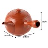 Tokoname Ware tk032 Teapot, Takeharu, Strained, 19.3 fl oz (540