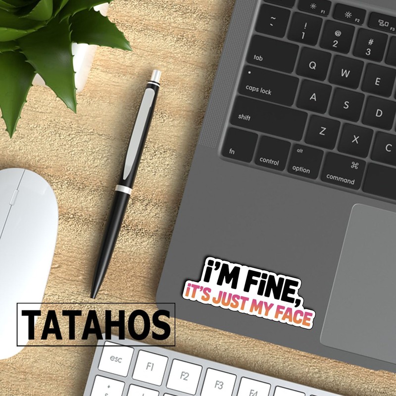 (3Pcs) I’m Fine It’s Just My Face Stickers Funny Sarcastic