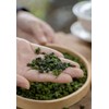 MOORCHOCO TieGuanYin Oolong Tea Loose Leaf, Iron Goddess of Mercy,