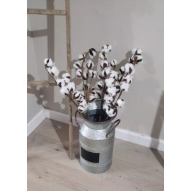 55 WHITE COTTON Gossypium Seeds Non-GMO USA Seller Grow Your Own Cotton Farm