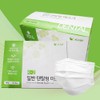 Phils Co., Ltd. K2 Dental Mask Domestic Cute Summer 2000