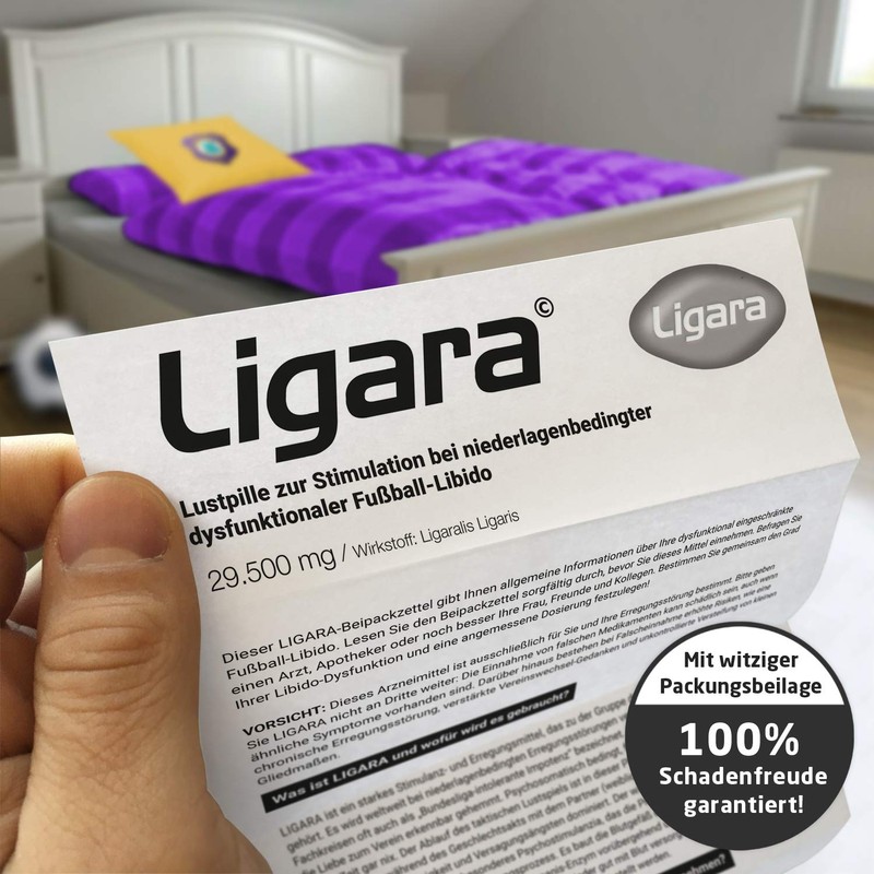 Ligara® for AUE Fan Item Gift Birthday Fans (1x Single