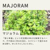 Tree of Life Marjoram Essential Oil 10ml Essential Oil Aroma