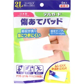 Delguard Scratching Pads 2L Size 4 x 4 Packs