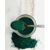 Alga Espirulina Orgánica Pura Polvo 100 G