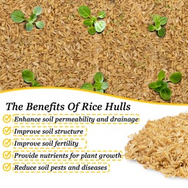 RAINFLOW 10.58 OZ Rice Hulls for Plants - Horticultural Grade Rice Hulls for Gardening Organic Use Rice Husk for House Plants and Chicken Bedding