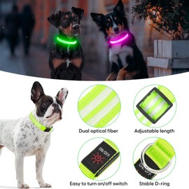 Light Up Dog Collar - BSEEN LED Dog Collar Rechargeable, Double Line Fiber Optic Glow in The Dark Dog Collar Light, Safety Dog Lights for Night Walking (Green, Medium)