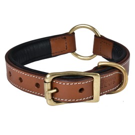 DowgClub | Genuine Leather Adventure Dog Collar | Full Grain, Heavy Duty | With inner Cushioned padding | Best for Medium, Large & XL Dogs (Large (Fit Neck Size 18.5"-22.5"), Brown With Center O Ring)