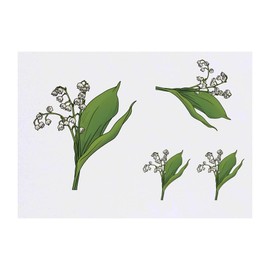 4 x 'Lily of the Valley' Temporary Tattoos - Water Resistant, Skin-Safe, Non-Toxic Transfers, Mixed Sizes (TO00058482)