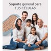 METAGENICS MetaLipoate 300 - Ácido Alfa Lipoico - Suplemento