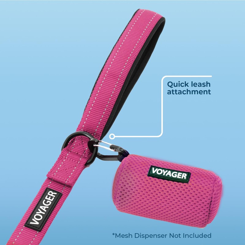Best Pet Supplies Voyager Reflective Dog Leash or Collar with