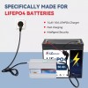 BtrPower 12V Lithium Battery 50Ah LiFePO4 3000+ Deep Cycles BMS