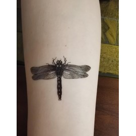 SanerLian Dragonfly Temporary Tattoo Sticker Waterproof Insects Adult Men Women Hand Arm Shoulders Body Art 10.5X6cm Set of 12 (SF256)