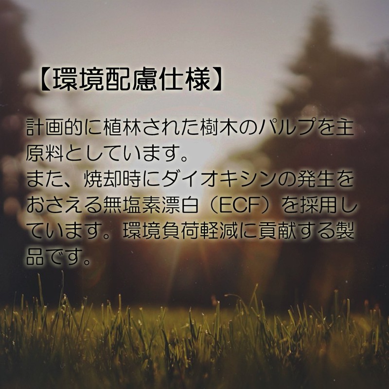 Maruman Loose Leaf B5 Horizontal Rule, 0.2 inch (6 mm),