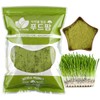 푸드팜 새싹보리 분말 제주도 무농약 보리새싹 가루 300g Foodfarm Barley