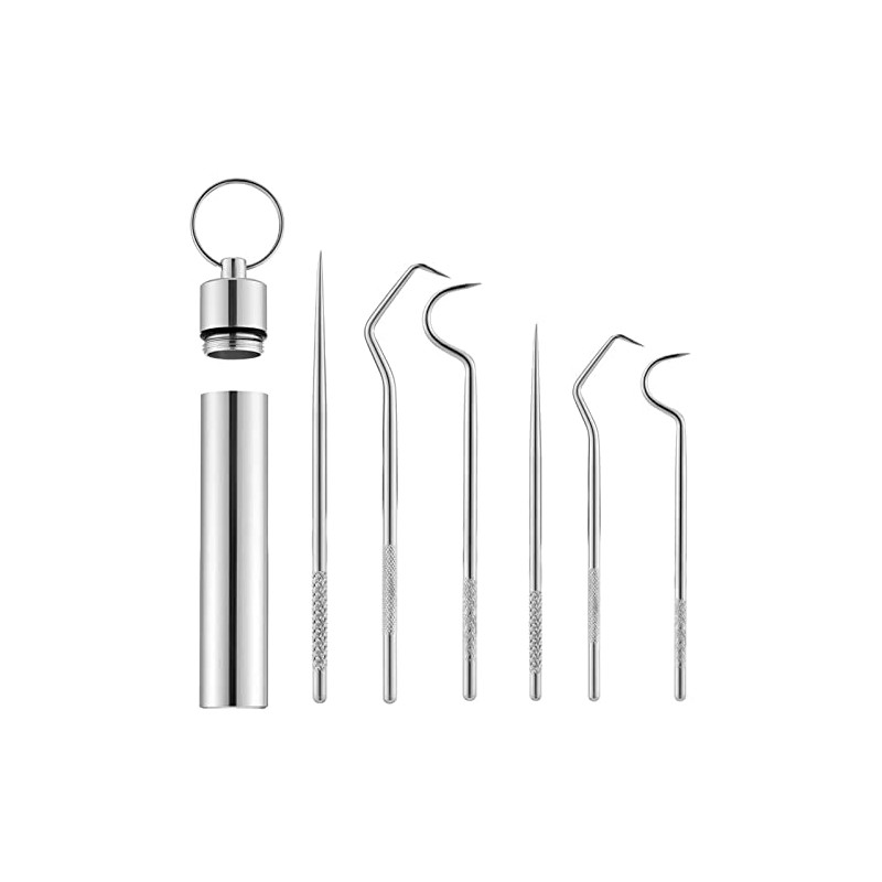 6Pcs Portable Reusable Stainless Steel Toothpicks Metal Tooth Scraper Dental