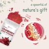 Organic Cranberry Juice Powder (Wild Cranberry Supplements Cold Pressed), 8