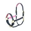 SIE Padded Leather Horse Halter with Brass Hardware and Raised