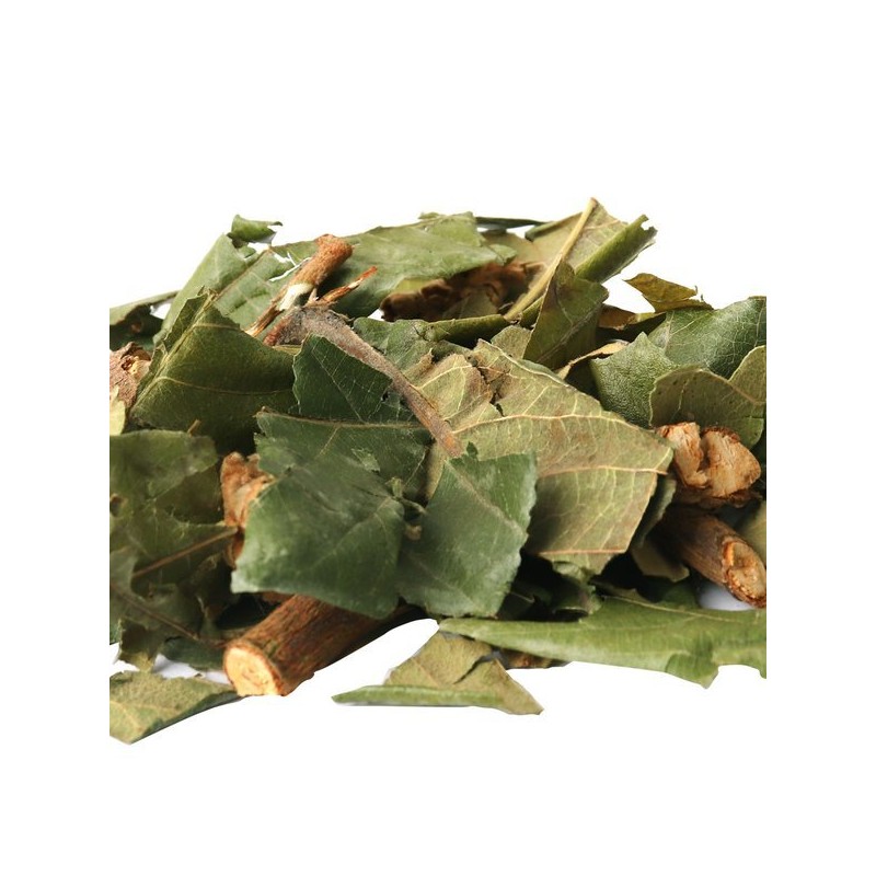 Dong-uihanjae 동의한재 국산 비파엽 비파잎 가지 300g Korean Domestic Loquat