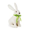 Two's Company Hand Crafted Easter Bunny, 9.25-inch Width x 6.5-inch