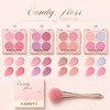 4 Color Blush Palette with Brusher Set for Cheeks(#02)