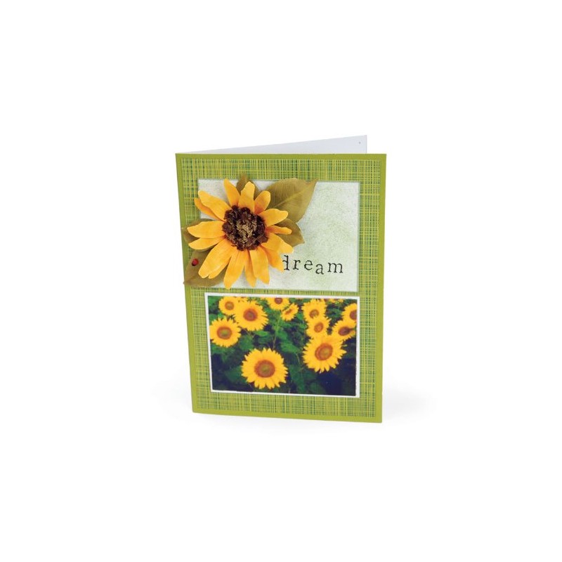 Sizzix Thinlits - Juego de troqueles de 7 unidades, flor,
