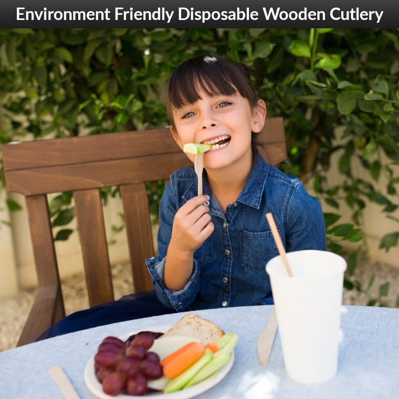 1Above 100Pk Disposable Wooden Cutlery Set, 100% Natural and Biodegradable,