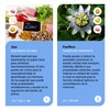 Sapientia + Serotonina Nootrópico 100% natural - Gluconato de Zinc