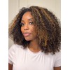 Ashart Highlight Brown Ombre Kinky Curly Half Wig Human Hair
