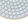 10Pcs 3in Diamond Wet Polishing Pad Soft Grinding Discs Polisher