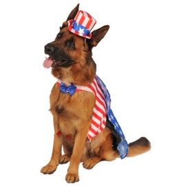 Rubie's Uncle Sam Pet Costume