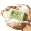 Dalan Roxy Olive Oil Beauty Soap 70g (4-pack) / 달란