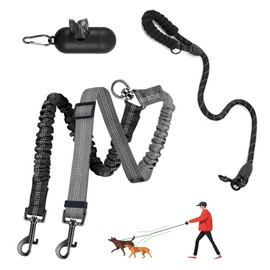LEOSASA Double Dog Leash - 360°Swivel Tangle Free Splitter Attachment, 1 Rope with Handle, 2 Dogs Multi-Functional Leash, for Outdoor Walk Train Small Medium Large Two Pet, Grey