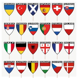 AK Giftshop Football Euro Toppers Decorations 24 National Team Food Picks Flags (24 Pack)