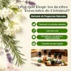 Set de 20 Aceites Esenciales para Difusor, 10 ml Cada