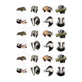 24 edible PRE CUT badger badgers british wildlife kids childrens party decorations round wafer paper 4.2cm