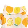 Dog Summer Shirts Lemon Print Breathable Cool Hawaiian Dog Shirts